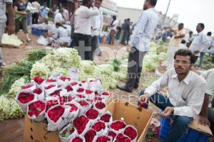 stock-photo-57305698-wholesale-flower-market-new-delhi-india-300x200