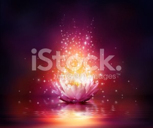 stock-photo-40458528-magic-flower-on-water