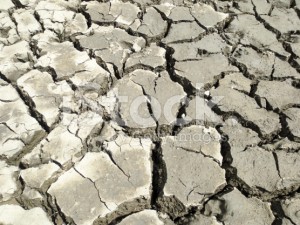 stock-photo-70925603-many-cracks-and-shapes-in-drying-mud