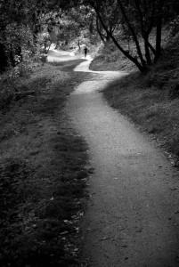 Sinueux est le chemin