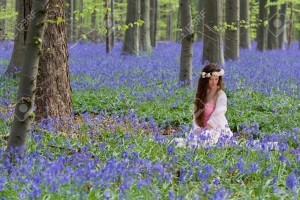 Innocent young woman with pink fairy dress in a springtime bluebells forest