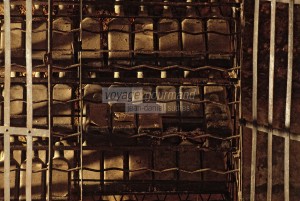 France/DOM/Martinique/Le Carbet/Plantation Lajus/Distillerie Bally : Détail vieilles armoires remplies de vieilles bouteilles de vieux Rhum de 1929