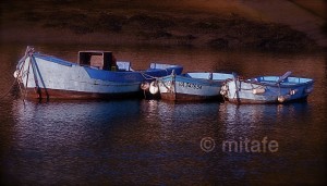 3_barques_bleues_web copie