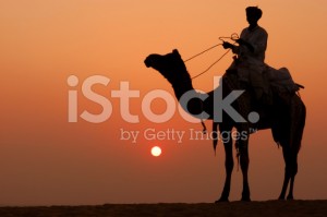 stock-photo-2628498-camel-rider