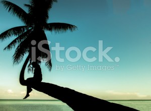 stock-photo-84372357-silhouette-single-thai-woman-sit-on-curve-coconut-tree