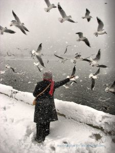 hiver-oiseaux-et-femme-seule