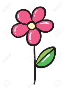 16027143-illustration-d-taill-e-d-une-fleur-rose-sur-un-fond-blanc-banque-dimages