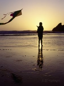 jim-corwin-fillette-faisant-voler-un-cerf-volant-sur-la-plage-cape-sebastian-oregon