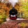 Train d’automne : Abdelaziz Benzid-El Eulma (Sétif)-Algérie